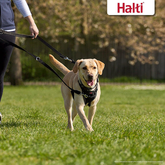 HALTI Training Lead - Professional Dog Lead to Stop Pulling on the Lead, Perfect for Puppy Walks, Easy to Use Double-Ended Dog Leash, Lightweight Soft & Durable (Size Large, Black, 2M)