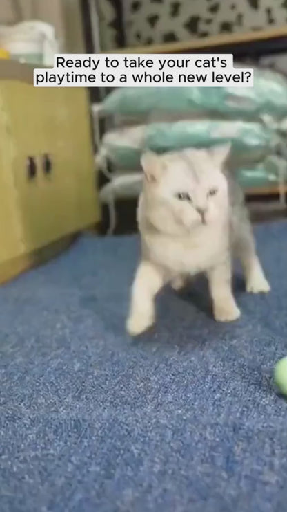 Crazy Kitty Orb™