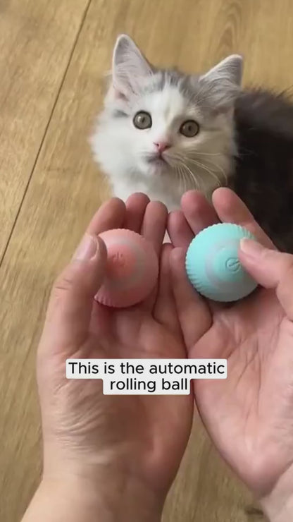 Crazy Kitty Orb™